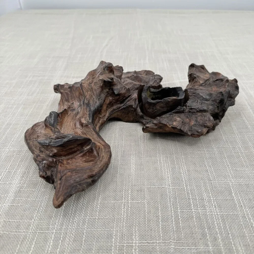 Natural Burl Wood Art Sculpture Candle Holder Decor